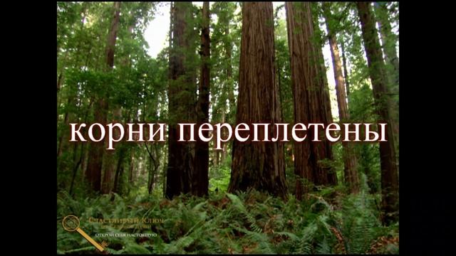 медитация 22 го ключа программы Счастливый Ключ смотреть онлайн