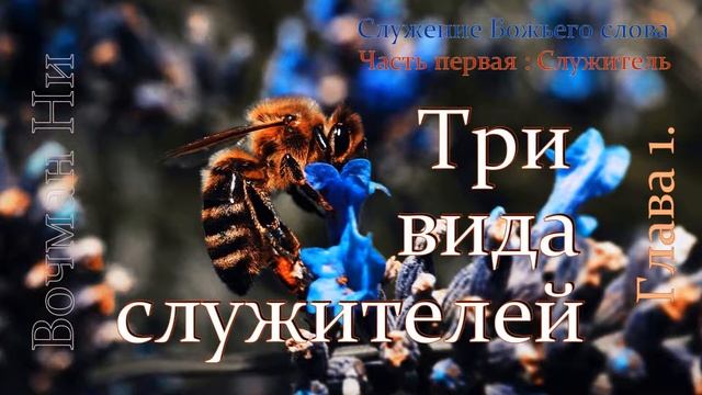 "Три вида служителей" Вочман Ни смотреть онлайн
