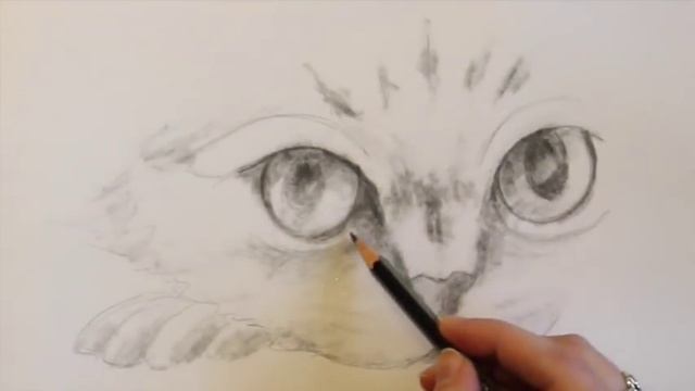 Рисуем кота карандашом. Урок для начинающих смотреть онлайн