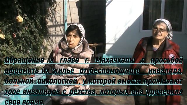 Обращение к главе г Махачкалы смотреть онлайн