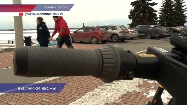 Максимальная скорость электросамокатов по Нижнему Новгороду 25 километров в час смотреть онлайн