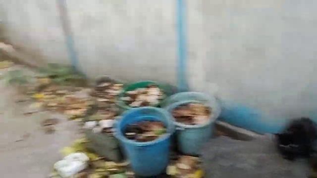 Возвращение Рыжика через 12 дней смотреть онлайн