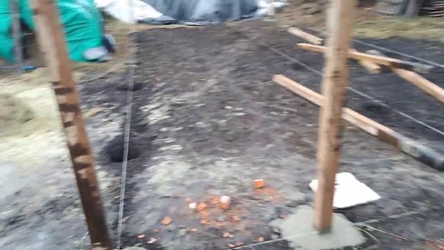 2 день строительства сарая- навеса для КРСа