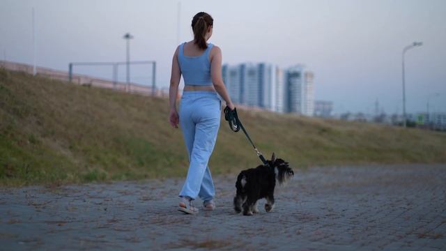 Ты Делаешь ему Больно! Как правильно ОБРЕЗАТЬ КОГТИ ПИТОМЦУ? смотреть онлайн