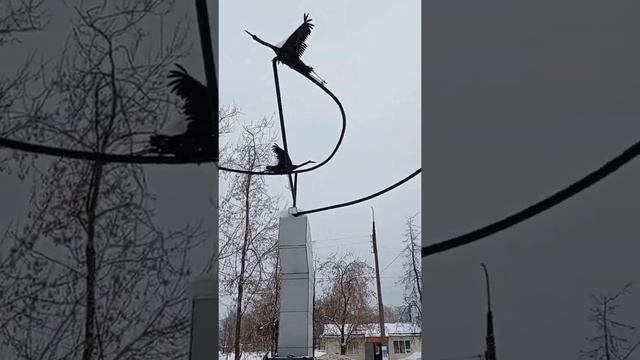 про Шахунью смотреть онлайн