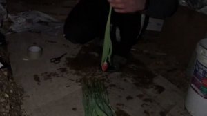 СОХРАНЯЕМ ЖИЗНЬ ЦВЕТАМ | ТЮЛЬПАНЫ Хранение тюльпана ,после срезки Как подтянуть тюльпан