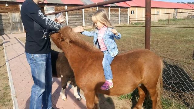Наглый Рыжий Пони ? Животные Едят с Рук ? Катаемся на Разных Пони без Седла ? смотреть онлайн