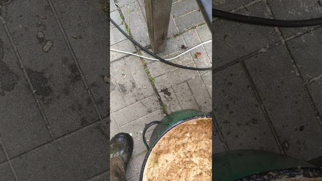 Терка для яблок. Продолжение смотреть онлайн