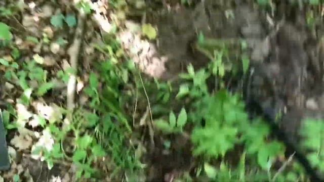 Коп с новеньким Garrett AT pro.Монеты так и прут!!!) смотреть онлайн