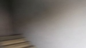 ? ЖК Краски жизни! Лифт OTIS Gen2 ReGen 2017 г.в Q=1000kg V=1м/с (г. Минусинск)