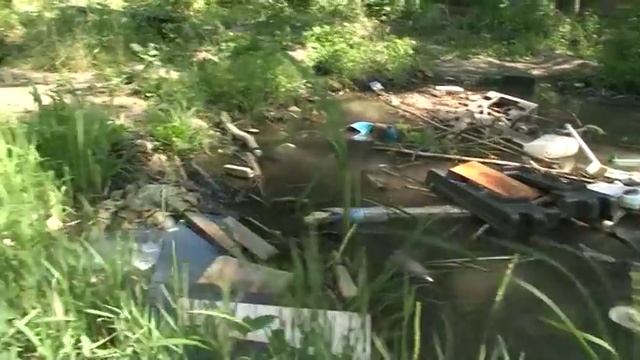 Болото с лягушками во дворе дома смотреть онлайн