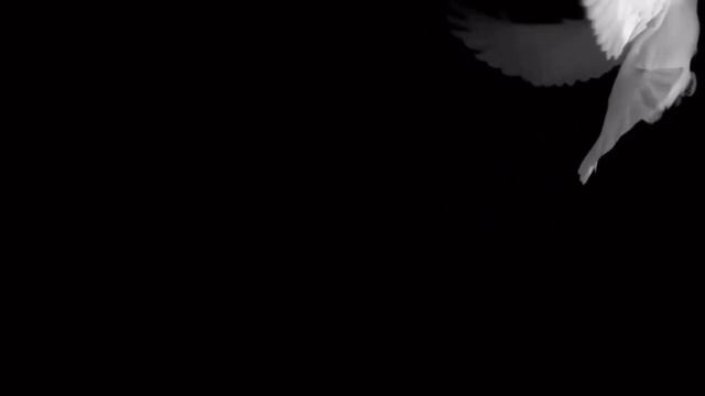 ,,Голубочек"Собанцева Валентина засл.арт.России смотреть онлайн