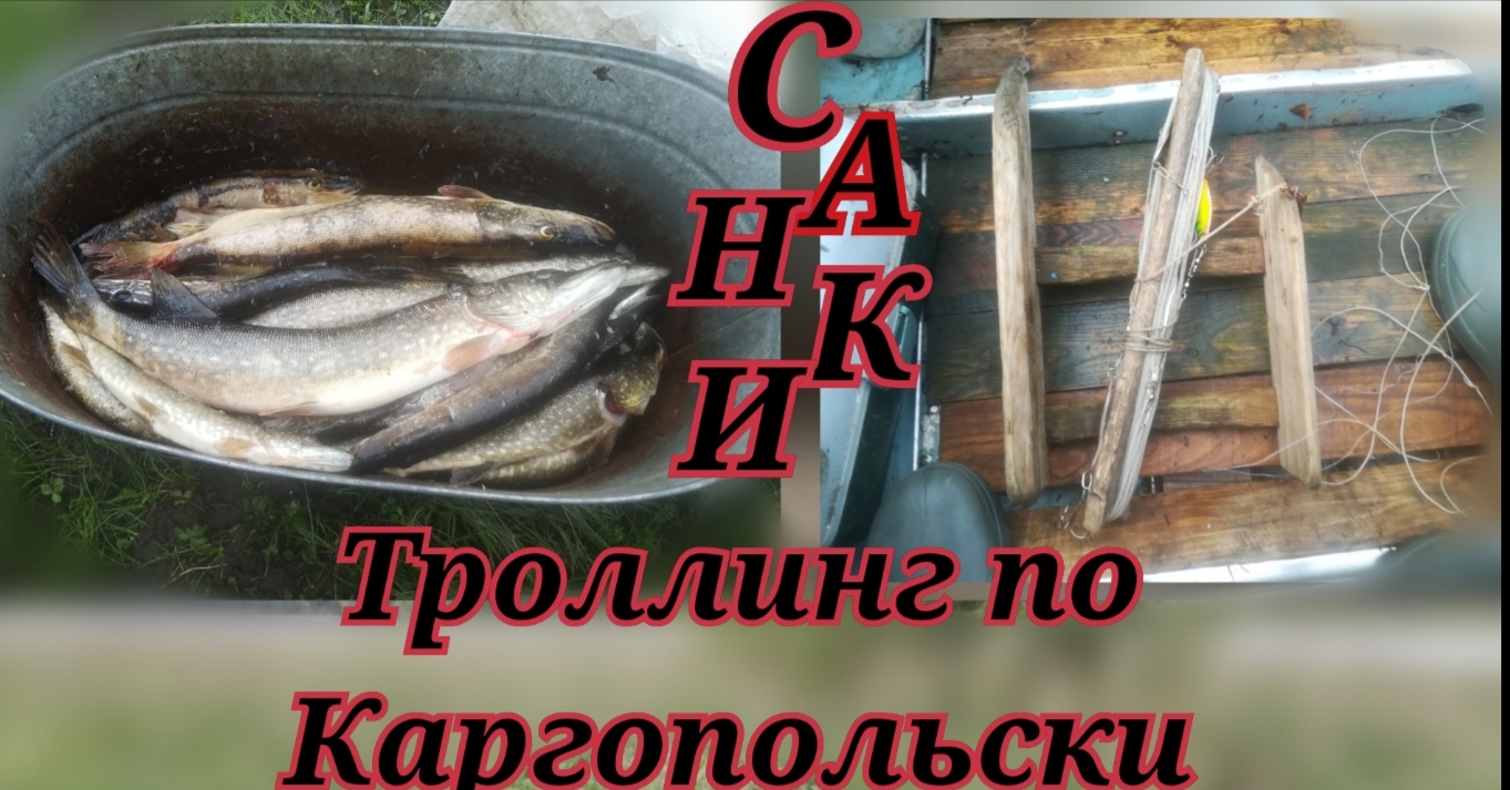 ТРОЛЛИНГ ПО КАРГОПОЛЬСКИ.mp4