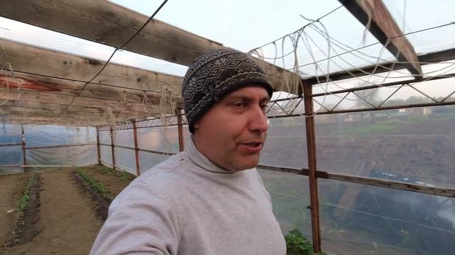 ДАЛ ЗАДАНИЕ / ЗАРАБОТАЛИ / ВСЁ ЭТО ПОСЛЕ 6:00 смотреть онлайн