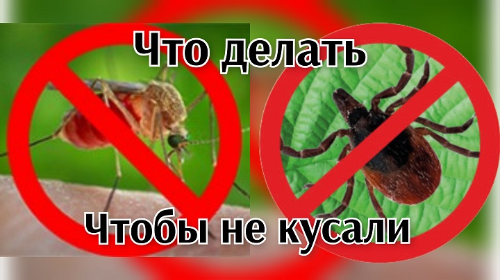 Эффективное средство от комаров и клещей. Народный метод. смотреть онлайн