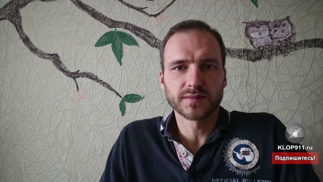 Как проводится обработка квартиры от клопов смотреть онлайн