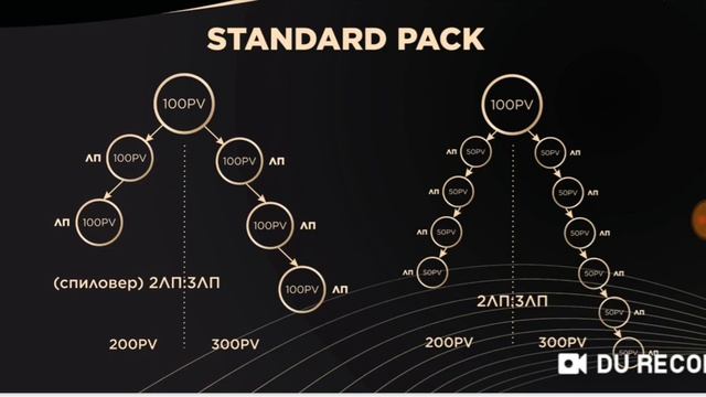 Новый маркетинг план компании Global Trend Company