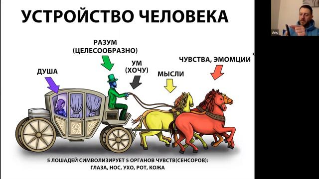 11.12 Истинная природа человека. Артём Фролов смотреть онлайн