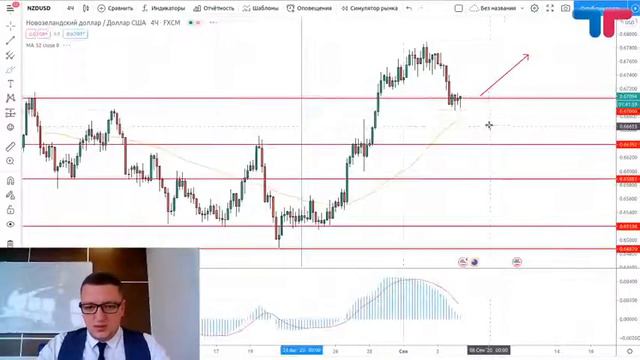 TeleTrade Форекс Сегодня. В центре внимания рынок труда США смотреть онлайн