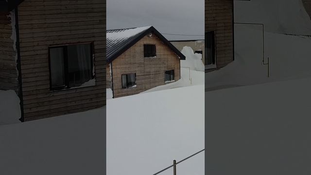 Метель. 26.01.2024. Южно-Сахалинск. Попытка выбраться. Часть 7