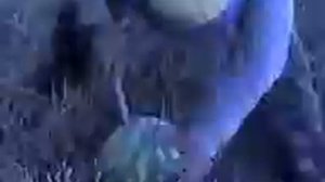 Казнь пленного