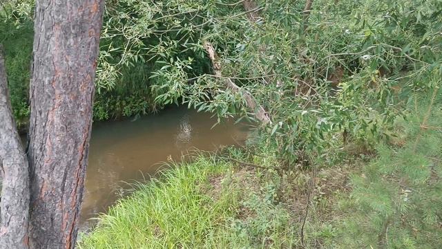 Релакс. Река Шередарь смотреть онлайн