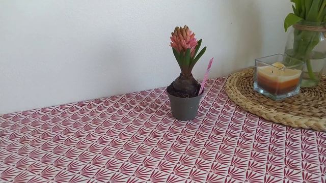 Начало весны🌷🌿 смотреть онлайн