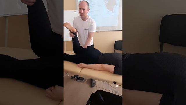 Кинезио ММТ большая ягодичная смотреть онлайн