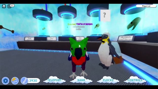 история одного грифона | roblox feather family griffin | Multikplayer смотреть онлайн