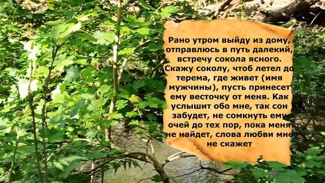 ЗАГОВОР НА ЛЮБОВЬ МУЖА магия от Ванги смотреть онлайн