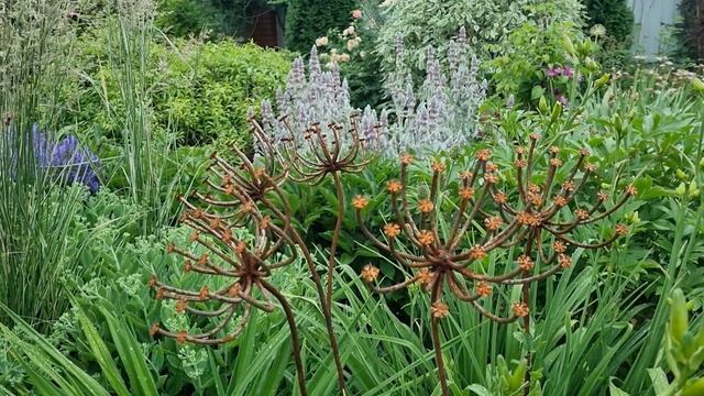 Предметы, которые украшают сад. Куда исчезли садовые гномики? смотреть онлайн