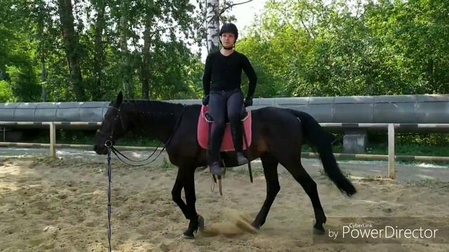 Джигитовка новичок смотреть онлайн