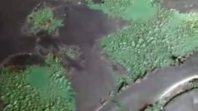 Удаление старой краски при помощи быстрой смывки смотреть онлайн