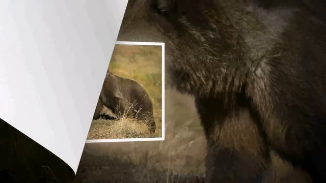 Бенджамин Фулфорд, 28 ноября 2022 года. Еженедельный обзор скрытой геополитики. смотреть онлайн