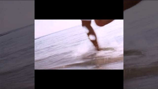 Наше Лето,Саркис Мовсесян