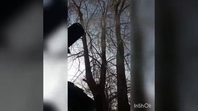 Буржуйка в гараж с пропанового балона смотреть онлайн