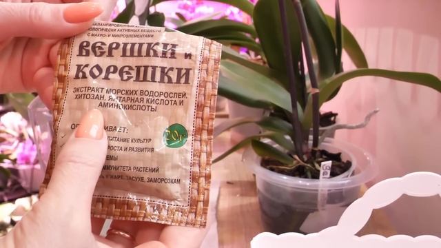 РАБОЧИЕ БУДНИ ОРХОМАНА ПРОТИВ ГНИЛИ КОРНЕЙ И ДЛЯ РОСТА/ТУМАН ДЛЯ ОРХИДЕЙ/Симба ПОШЛИ ЛИСТЬЯ. смотреть онлайн