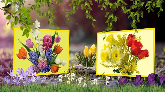 `”*°•.✿ Весна ✿•°*”` Стили "Фото поднимается из травы" и "Веер" смотреть онлайн