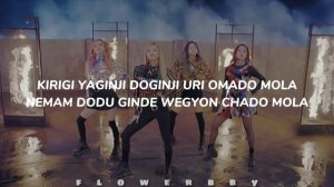 BLACKPINK - 'Playing with fire (불장난)' karaoke + easy lyrics