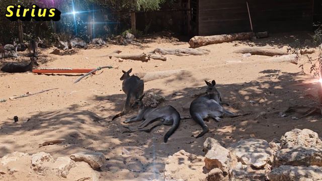 14 августа Медовый Спас или Маковей: что категорически нельзя делать смотреть онлайн