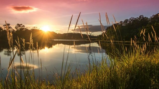 Помогите вашим детям спастись! #родителям #родители #дети смотреть онлайн