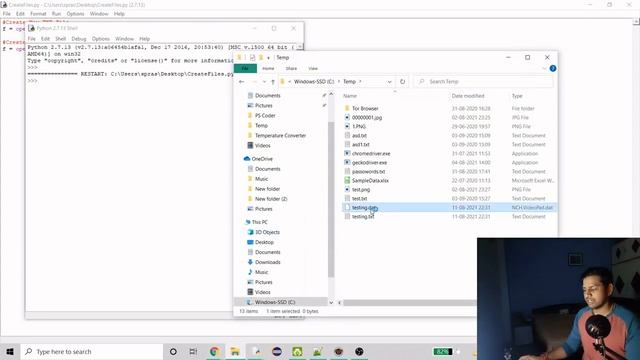 Create Any Text File | TXT | DAT | Python смотреть онлайн