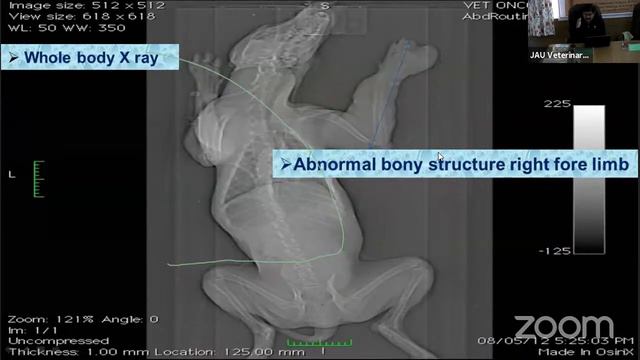Day 1:Five Days Online Vocational Training on "Advance Diagnostic Techniques in Livestock and Pets смотреть онлайн