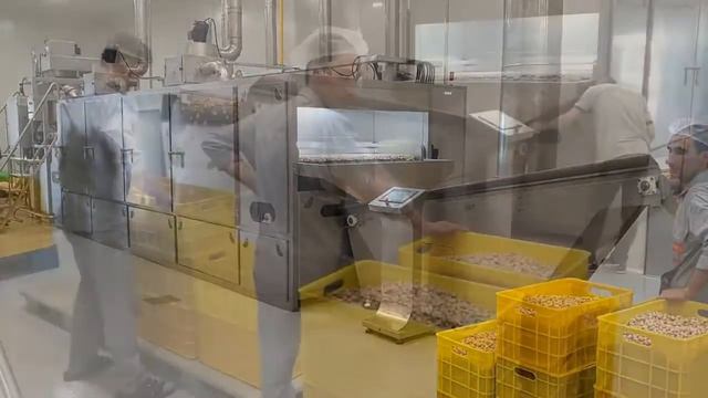 OS 500 Тунельная жарка для фисташки смотреть онлайн