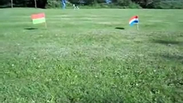 EURO 2012: Oracle Boadecia picks Holland (Portugal - Holland 17-06-2012) смотреть онлайн