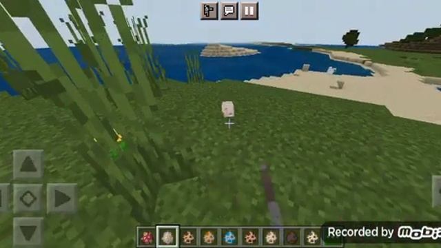 Обзор мода на домашних животных в майнкрафт пе 1.16 смотреть онлайн