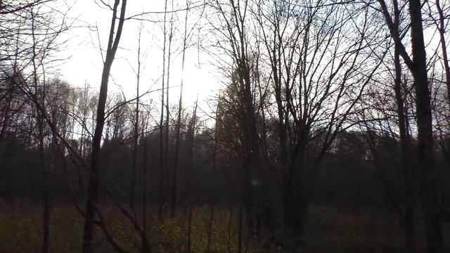 Царство мёртвых деревень ? смотреть онлайн