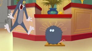 "All Tom Screaming" - Tom and Jerry in New York (2021) Pt. II