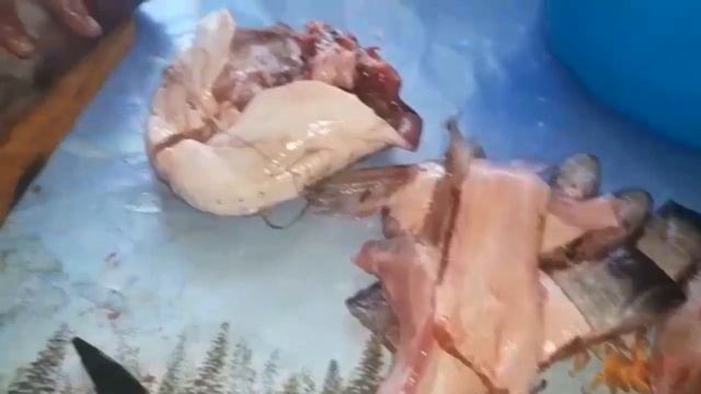 #рыба #жаримсома Пять КГ "ЖАРЕННЫЙ СОМ И РАЗДЕЛКА ЕГО ДОМА" смотреть онлайн