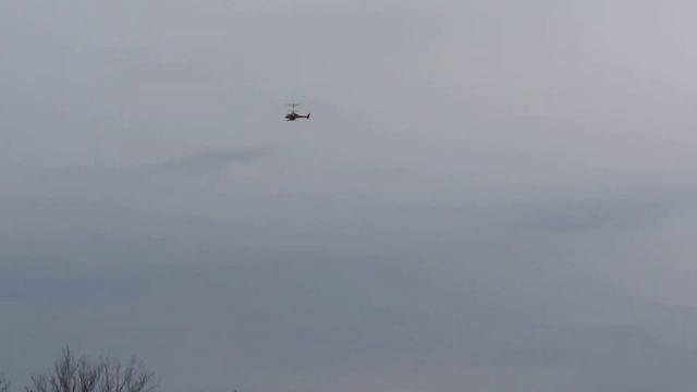 RC Helicopter Esky Big Lama смотреть онлайн
